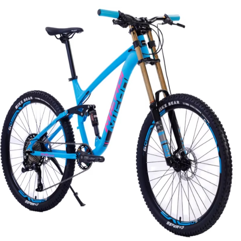 고품질 24인치 듀얼 디스크 브레이크 자전거 기어 (남 - Mountain Biking Gear 리뷰 및 가격